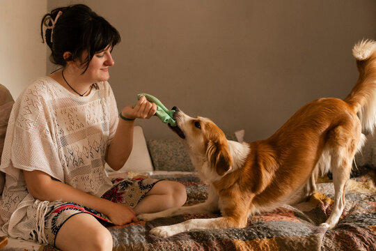 Playful Tug-of-War with Beloved Pet