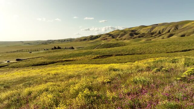 Carrizo Plain Sunset California Goldfields Aerial Shot Orbit R - Filmed outside of National Monument California USA
