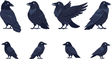 Fototapeta premium Black Raven Cartoon Bird Character Collection with Standing Perching and Flying Crow Poses Dark Gothic Wildlife Flat Vector Illustration Set Police Stop