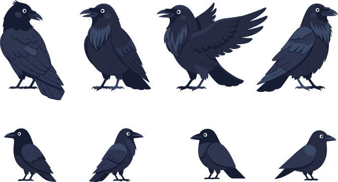 Black Raven Cartoon Bird Character Collection with Standing Perching and Flying Crow Poses Dark Gothic Wildlife Flat Vector Illustration Set Police Stop