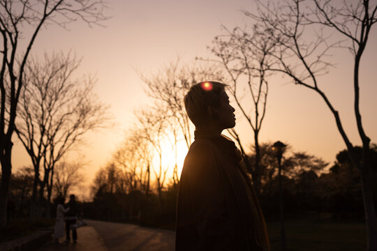 Sunset Silhouette in Park