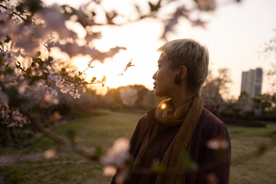 Cherry Blossom Park Portrait