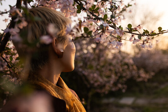 Woman Looking at Cherry Blossoms