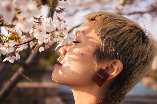 Intoxicated by Cherry Blossoms