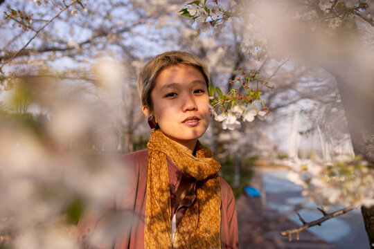 Woman Under Blossoming Tree