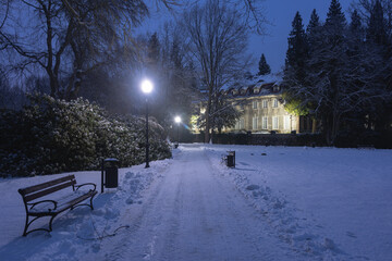 Park w zimowy wiecz&oacute;r. Panuje mrok rozświetlany światłem latarni. Alejki, drzewa, elementy architektury przykrywa warstwa śniegu.