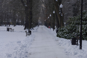 Park w zimowy dzień. Ziemia, alejki, drzewa i ławki pokryte są warstwą śniegu. © boguslavus