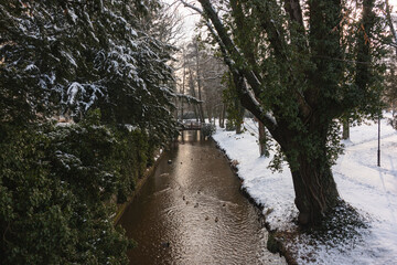 Rzeka Czerna Mała płynąca przez park dworski w mieście Iłowa w Polsce. Nad rzeką widać mosty i kładki dla pieszych. Jest zima, ziemię pokrywa śnieg. © boguslavus