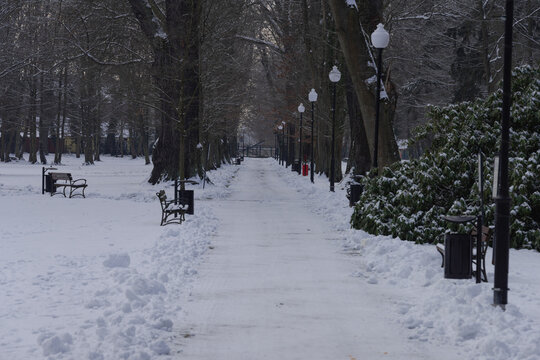 Park w zimowy dzień. Ziemia, alejki, drzewa i ławki pokryte są warstwą śniegu.