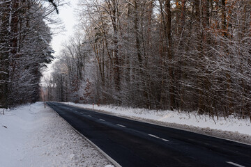 Asfaltowa droga w zimowy dzień. Jezdnia jest czarna, po obu stronach jest wysoki las. Ziemia i gałęzie drzew pokrywa warstwa śniegu. © boguslavus