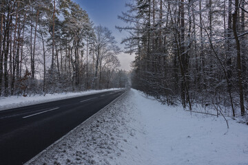 Asfaltowa droga w zimowy dzień. Jezdnia jest czarna, po obu stronach jest wysoki las. Ziemia i gałęzie drzew pokrywa warstwa śniegu. © boguslavus