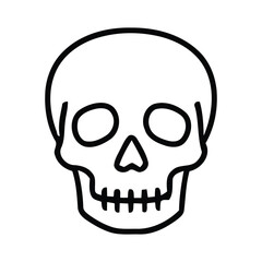 Obraz premium Simple line drawing of a human skull from the front view