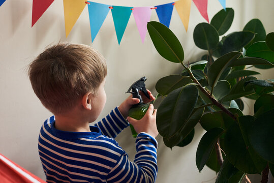 Boy sprays houseplant 