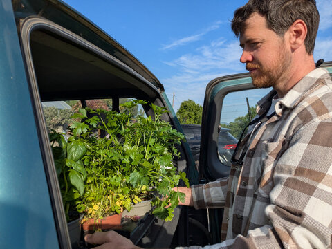  Fresh Herbs  Loading Herbs Into Car 