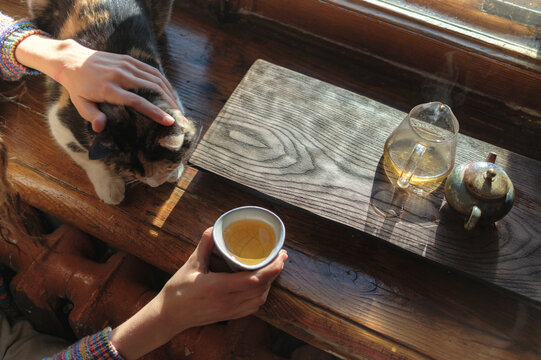 a woman with a spotted cat sits by the window and drinks tea