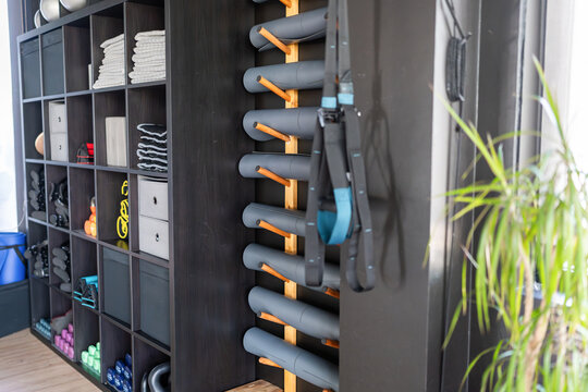 Modern gym equipment neatly arranged on shelves and rack