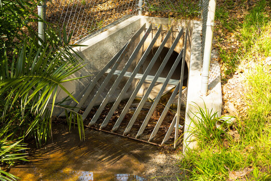 Concrete drainage culvert with metal grate and surrounding vegetation