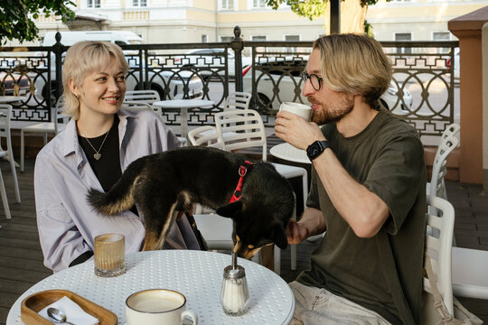 Playful Shiba Inu Brings Joy to Couple&rsquo;s Coffee Break