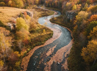 Serene Winding River Flowing Through Forest Landscape with Vibrant Autumn Foliage in Warm Sunlight