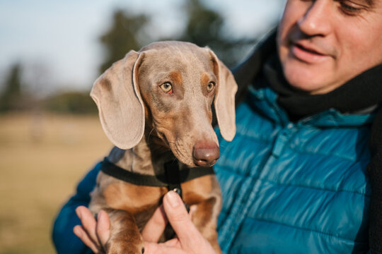 Man holding small brown and tan dachshund puppy outdoors