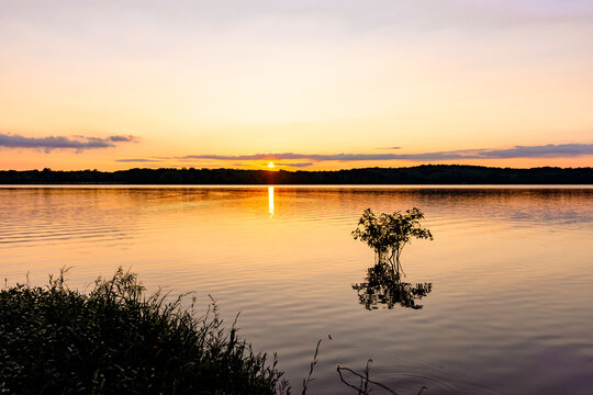 July sunset over a Western Kentucky lake with a small tree reflecting in the calm water. Scenic evening at Land Between the Lakes.