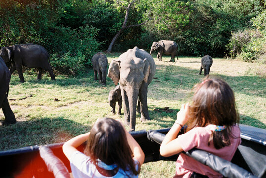 Children Enjoying Elephant Safari Adventure. Travel Sri Lanka