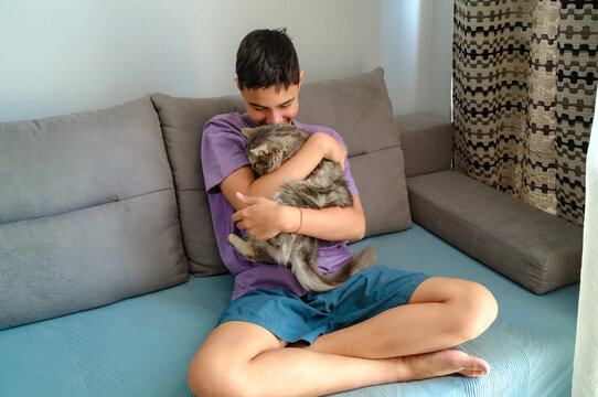 boy hugging gray cat