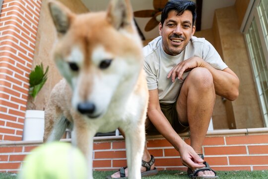  dog and owner playing with ball 
