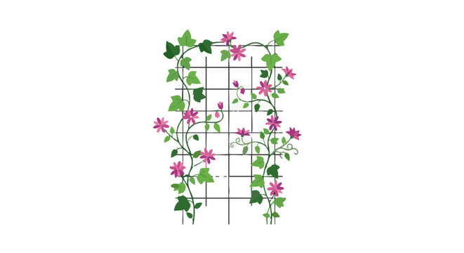 Vector illustration of a white garden trellis with climbing ivy vines and pink flowers on a black background.