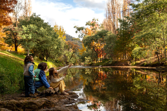 Magic in the Stillness &ndash; Autumn in Bright