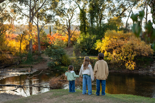 Curious Little Explorer &ndash; Autumn in Bright