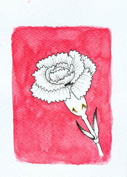 White Carnation Flower Painting 