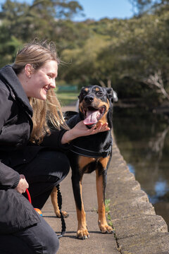 happy dog with owner