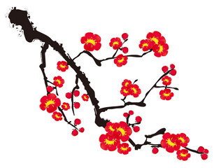 Obraz premium Red Plum Blossom Branch Texture with Flowers Isolated