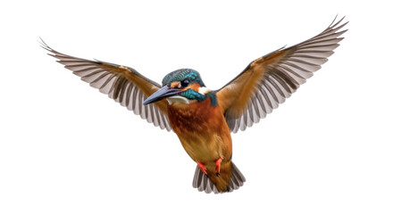 Obraz premium Colorful kingfisher flying PNG isolated on transparent background, vibrant bird with outstretched wings for wildlife and nature designs