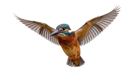 Fotobehang IJsvogel Colorful kingfisher flying PNG isolated on transparent background, vibrant bird with outstretched wings for wildlife and nature designs  © Ciara