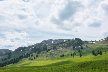 Fototapeta premium Green grassy meadow against stone hill with coniferous trees and high rock mountain range under cloudy sky. Big sharp rocky ridge with sheer crags. Sunlight and shadows of clouds in changeable weather