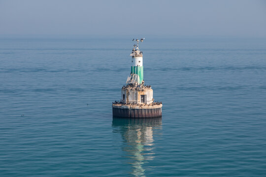 Channel Marker Buoy With Nesting Cormorants Near Lake St. Clair, Belle Isle, Detroit, Michigan