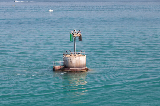 Channel Marker Buoy With Nesting Cormorants Near Lake St. Clair, Belle Isle, Detroit, Michigan