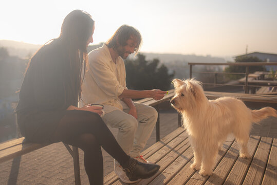 Couple with their dog on the terrace