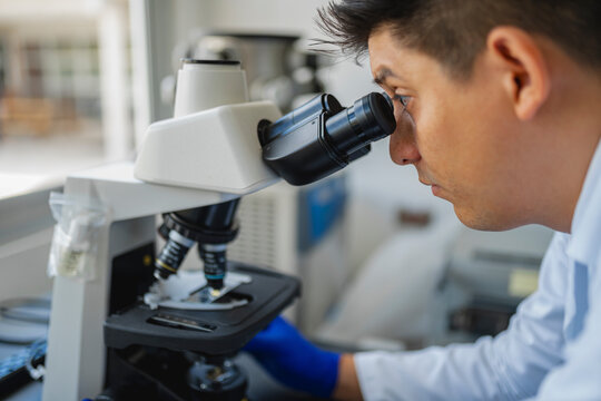 Looking through microscope