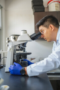 Scientist using microscope