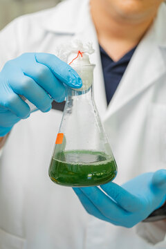 Liquid sample in Erlenmeyer flask