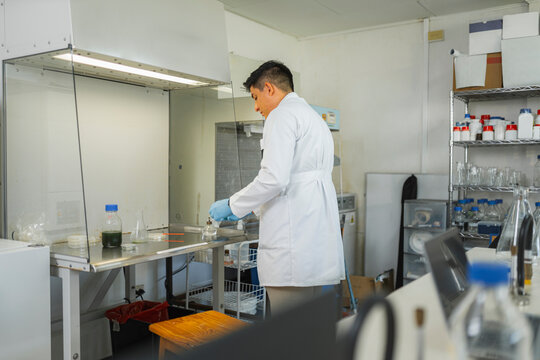 Scientist working in laboratory