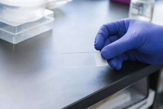 Microscope slide preparation