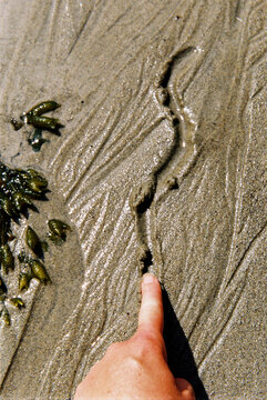 Finger Tracing Patterns on Wet Sand