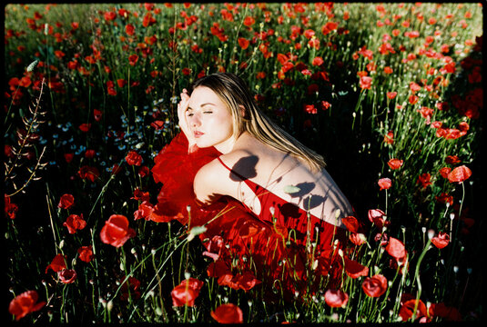 Blonde model relaxing in poppy field 