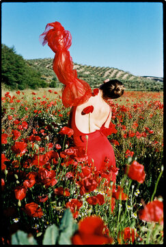 Dancer  with her back turned  in poppy field,