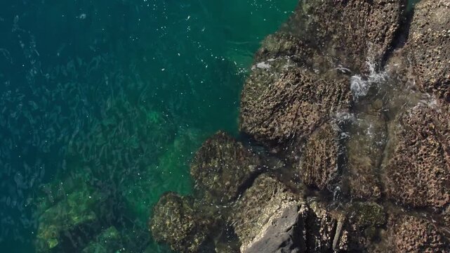 Aerial view of turquoise sea water gently splashing against jagged rocks and barnacles. Calm ocean surface, relaxing coastal nature scene, drone video footage. Real time.