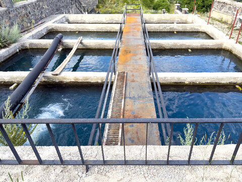 Trout production facility